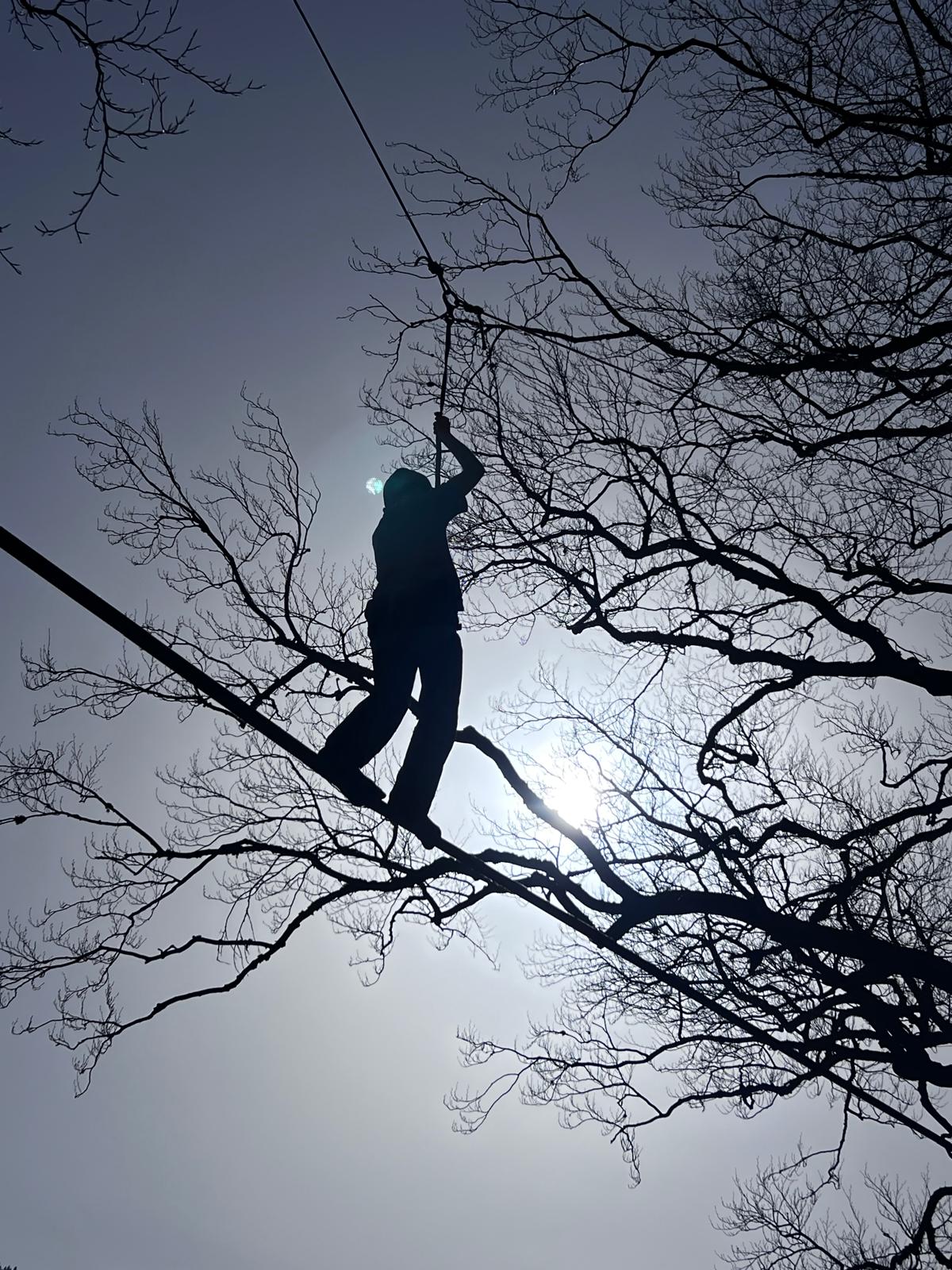 A person balancing on a highline between trees, silhouetted against bright sun